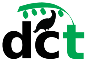 dct logo trans